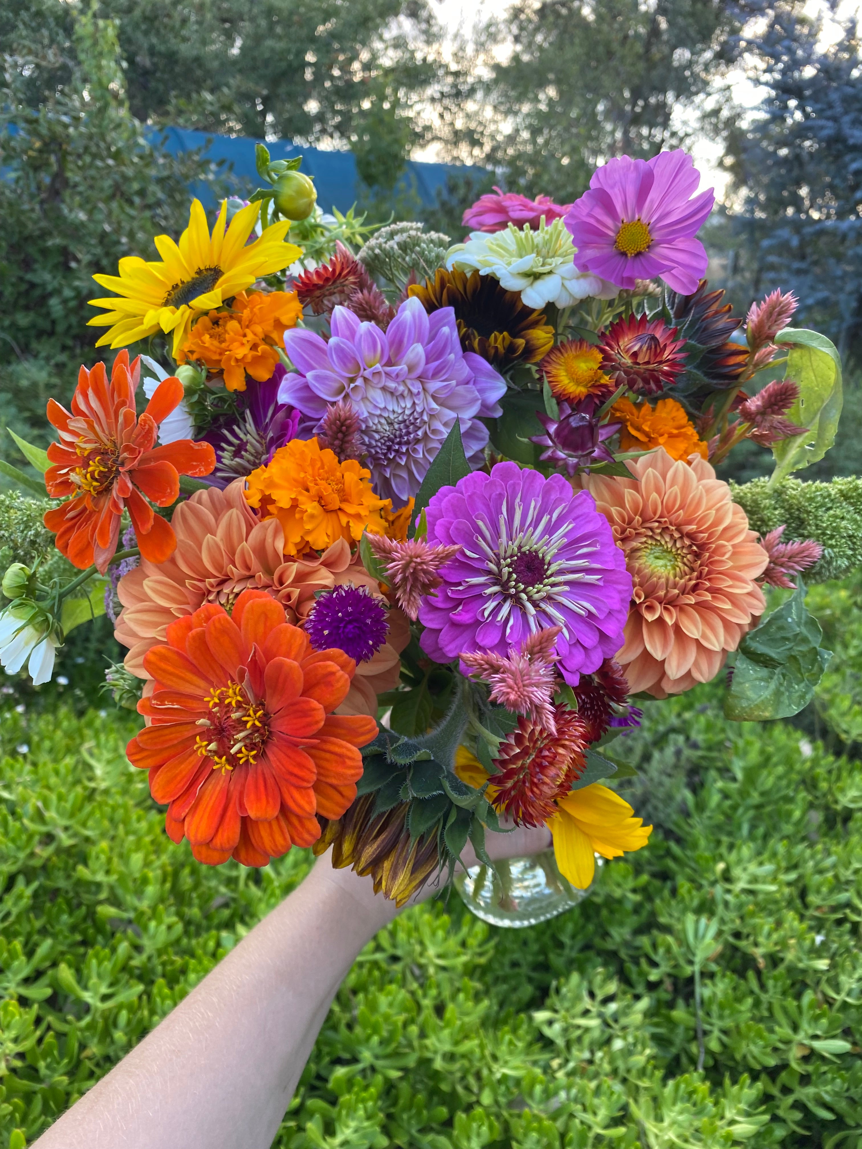 Summer Flower Subscription