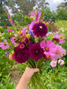 Seasonal Bouquet (Farmers Pick)